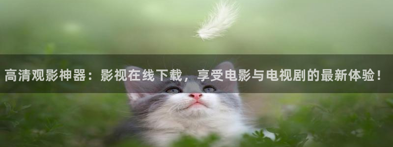 名侦探柯南星辰影院免费观看