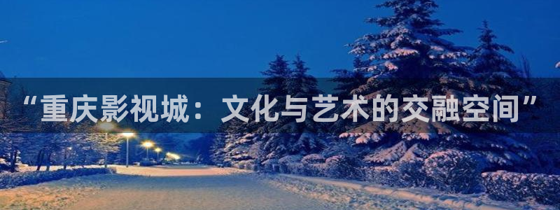 我的阿勒泰电视剧免费观看星辰影院