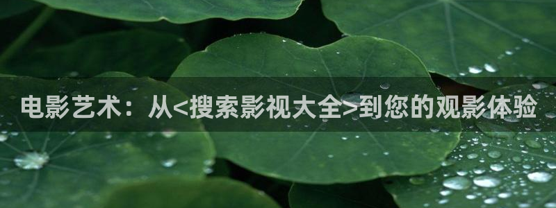 一起来看流星雨星辰影院