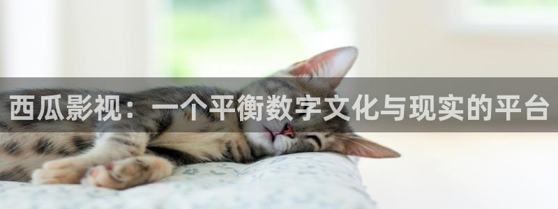 星辰影院动漫免费观看