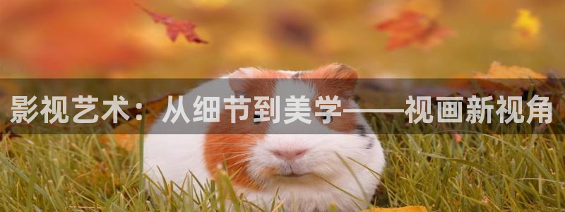 为有暗香来星辰影院在线观看